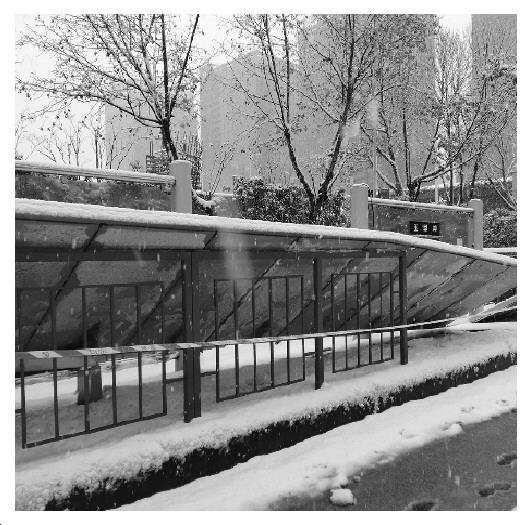大雪压垮公交站台值得警醒